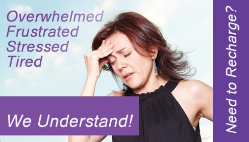 Real Savvy Success Network Marketing Training for Women